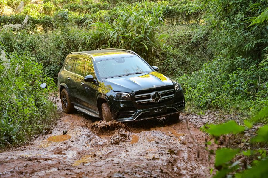  Mercedes-Benz GLS450 4Matic AMG Line (X167) 2019 года  (CN) (фото 10 из 13)